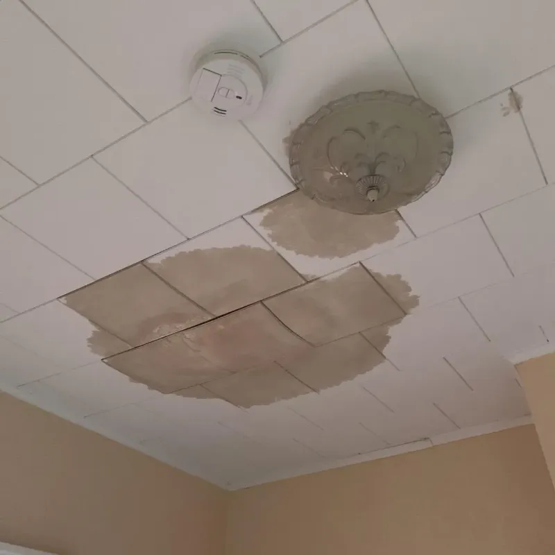 Ceiling Water Damage Repair in Phillips County, KS