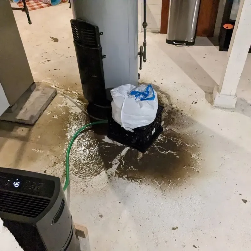 Sewage Backup Cleanup Service in Phillips County, KS